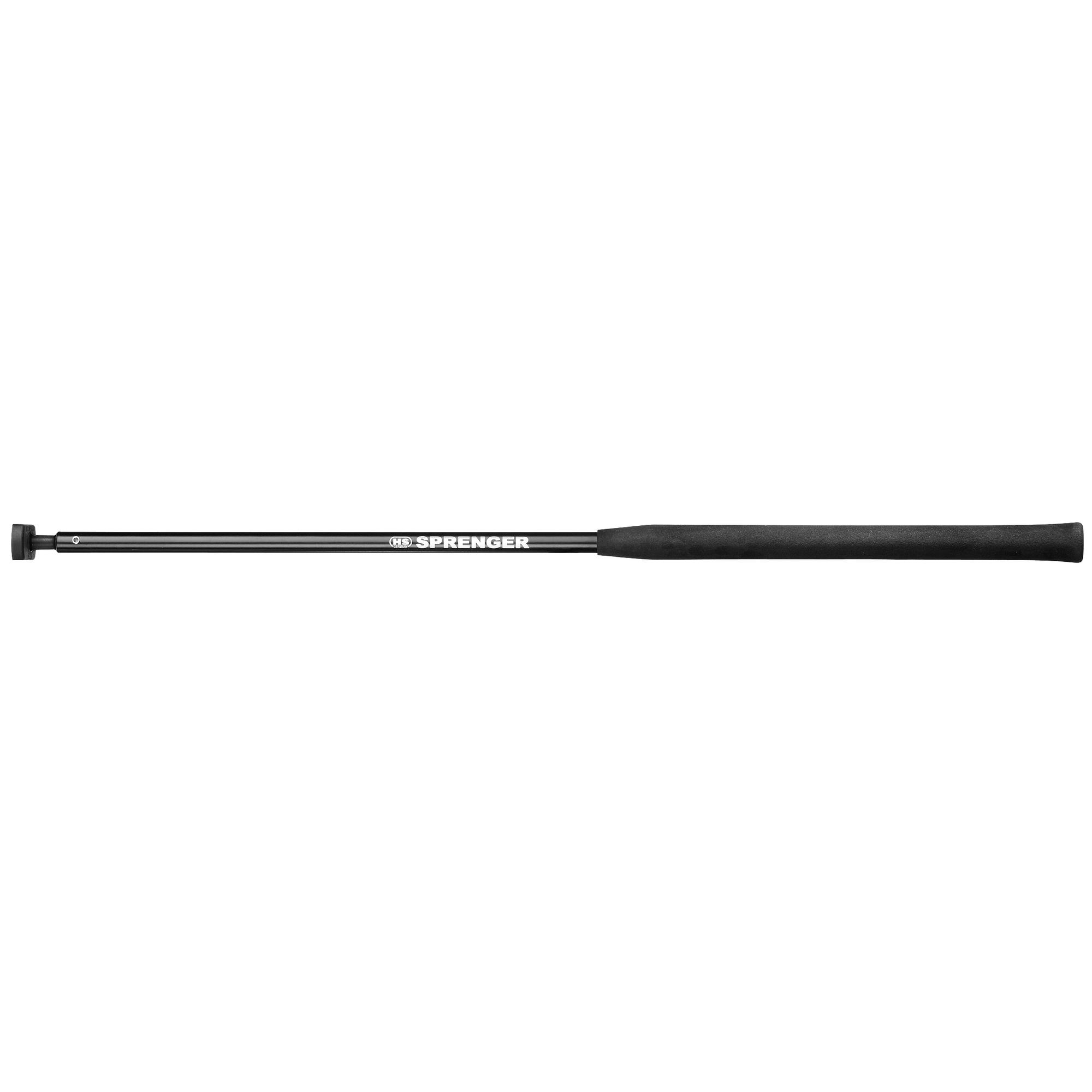 SPRENGER, Pinnenausleger Gelenk demontierbar - ø 16 mm, 75 cm