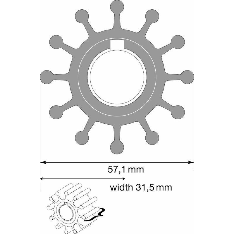 Johnson Impeller F5B-12/24V