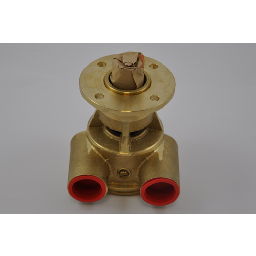 Johnson Impellerpumpe F5B-9002