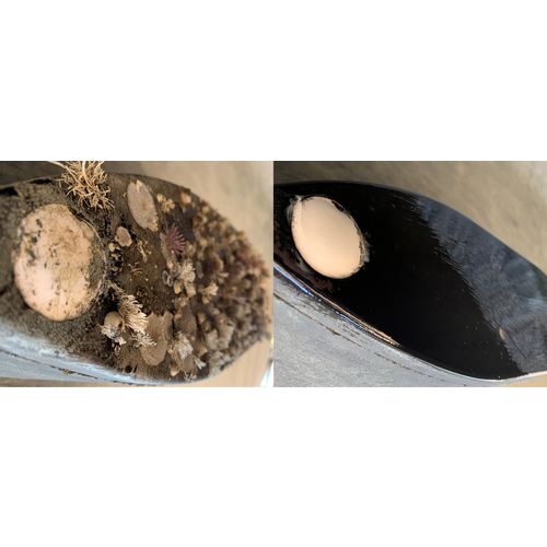 Airmar Antifouling Kit