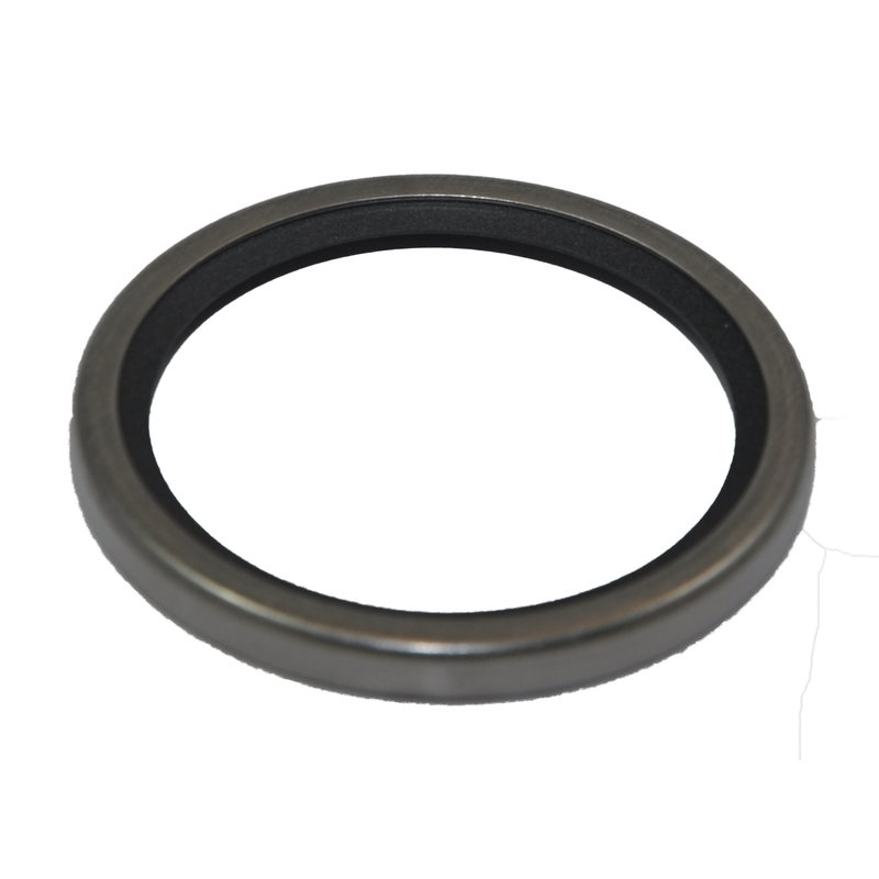 Steyr  DICHTRING, THERMOSTAT